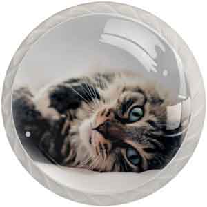 Pomo de cristal decorado con un gato acostado.